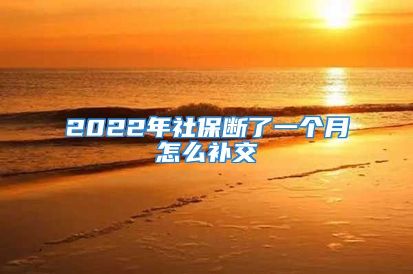 2022年社保斷了一個月怎么補交