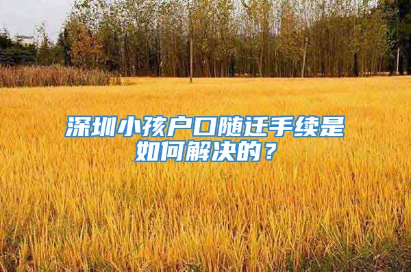 深圳小孩戶口隨遷手續(xù)是如何解決的？