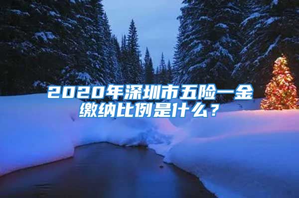 2020年深圳市五險一金繳納比例是什么？