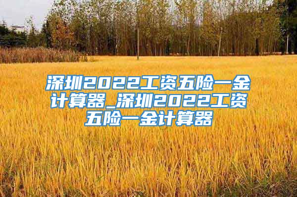 深圳2022工資五險一金計算器_深圳2022工資五險一金計算器