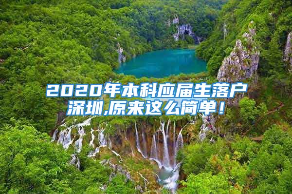 2020年本科應(yīng)屆生落戶深圳,原來這么簡單！