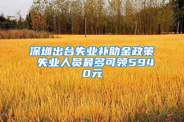 深圳出臺失業(yè)補助金政策 失業(yè)人員最多可領5940元