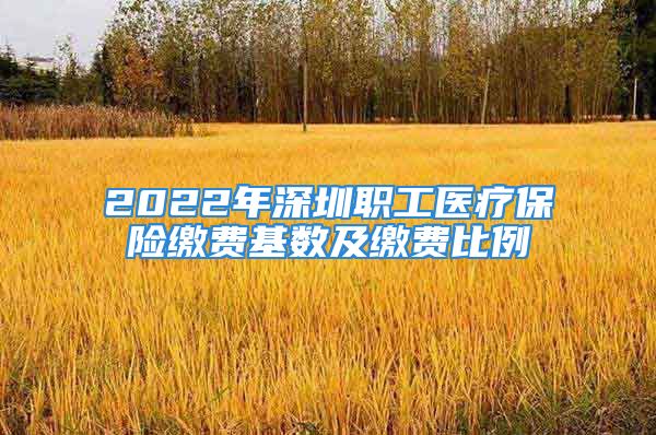 2022年深圳職工醫(yī)療保險(xiǎn)繳費(fèi)基數(shù)及繳費(fèi)比例