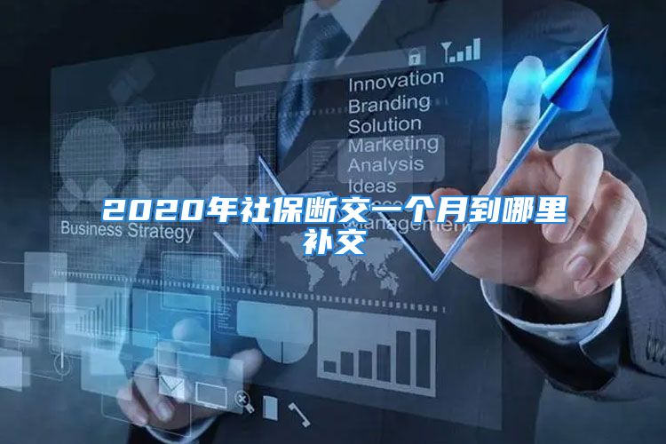 2020年社保斷交一個(gè)月到哪里補(bǔ)交