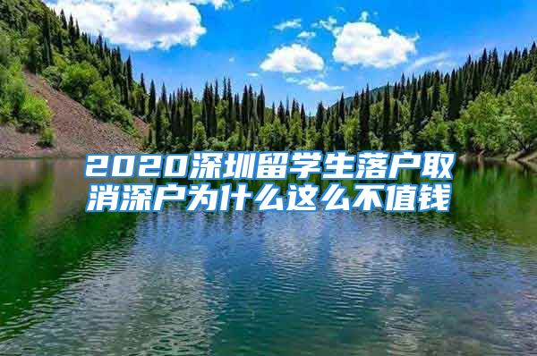 2020深圳留學(xué)生落戶取消深戶為什么這么不值錢