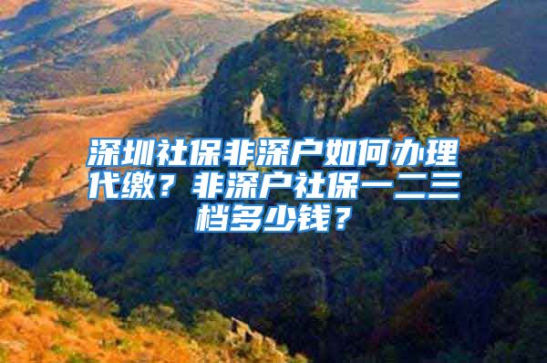 深圳社保非深戶如何辦理代繳？非深戶社保一二三檔多少錢？