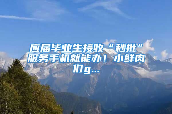 應屆畢業(yè)生接收“秒批”服務手機就能辦！小鮮肉們g...