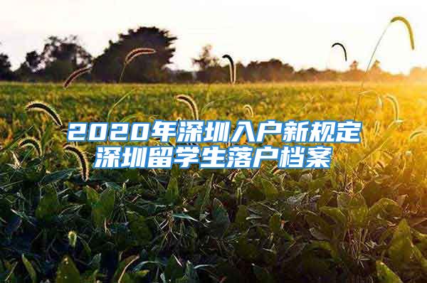 2020年深圳入戶新規(guī)定深圳留學生落戶檔案