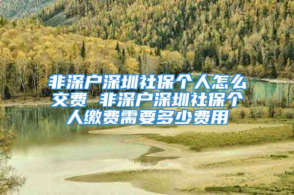 非深戶深圳社保個人怎么交費 非深戶深圳社保個人繳費需要多少費用