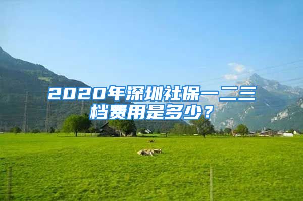 2020年深圳社保一二三檔費用是多少？