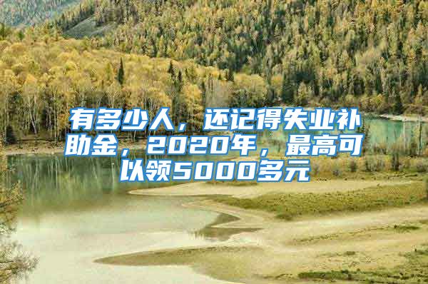 有多少人，還記得失業(yè)補助金，2020年，最高可以領(lǐng)5000多元