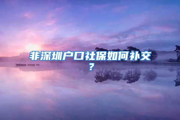 非深圳戶口社保如何補(bǔ)交？