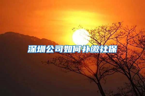 深圳公司如何補繳社保