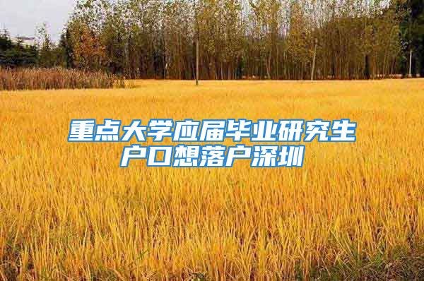 重點大學應屆畢業(yè)研究生戶口想落戶深圳