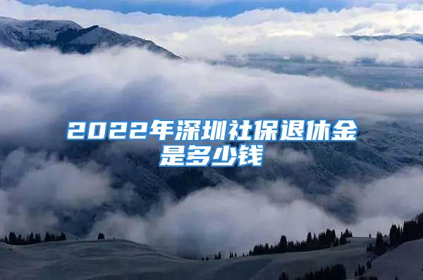 2022年深圳社保退休金是多少錢