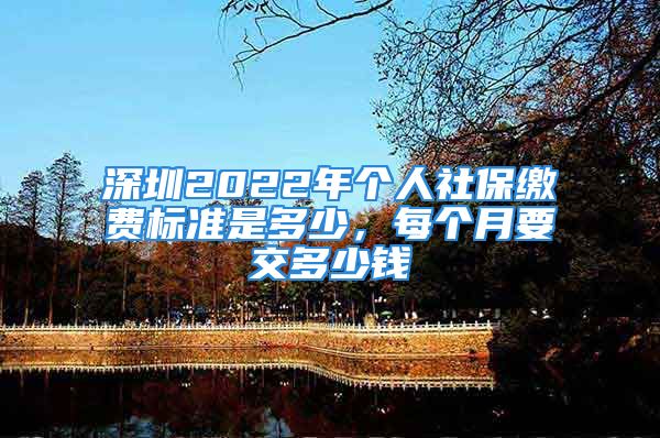 深圳2022年個人社保繳費標準是多少，每個月要交多少錢