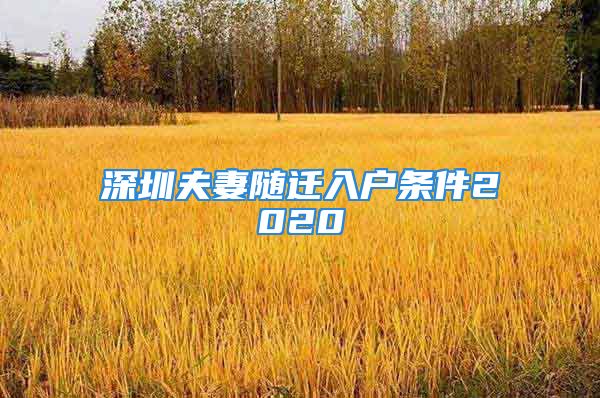 深圳夫妻隨遷入戶條件2020