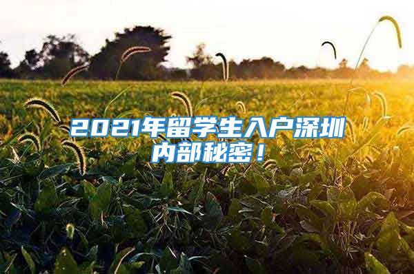 2021年留學(xué)生入戶深圳內(nèi)部秘密！