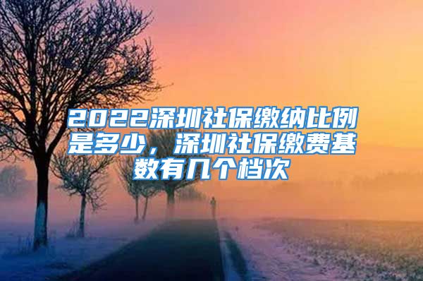 2022深圳社保繳納比例是多少，深圳社保繳費(fèi)基數(shù)有幾個(gè)檔次