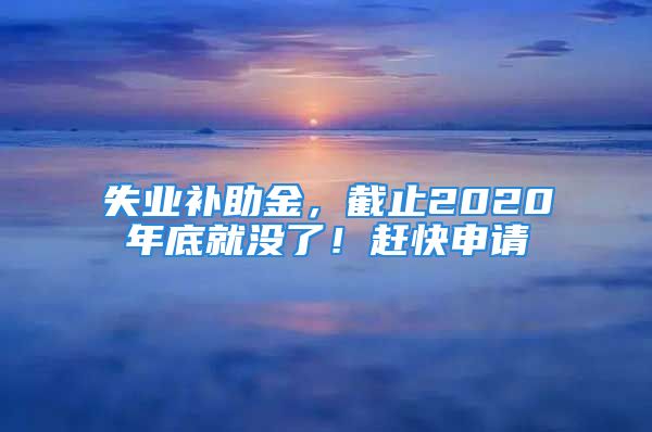 失業(yè)補(bǔ)助金，截止2020年底就沒了！趕快申請