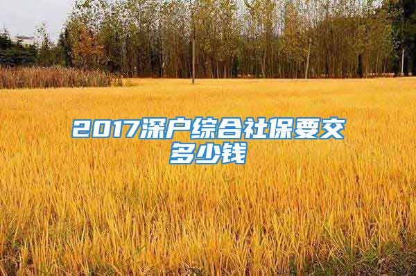 2017深戶綜合社保要交多少錢