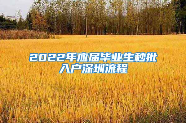 2022年應屆畢業(yè)生秒批入戶深圳流程