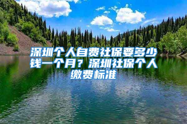 深圳個人自費社保要多少錢一個月？深圳社保個人繳費標準