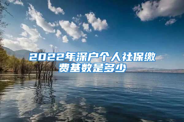 2022年深戶個人社保繳費基數是多少