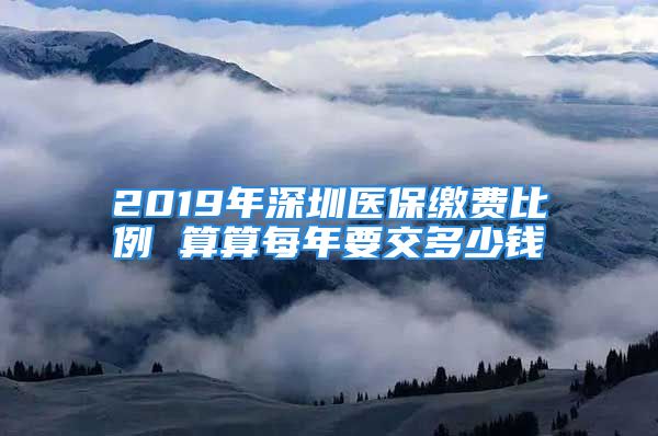 2019年深圳醫(yī)保繳費比例 算算每年要交多少錢