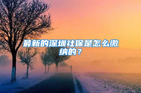 最新的深圳社保是怎么繳納的？