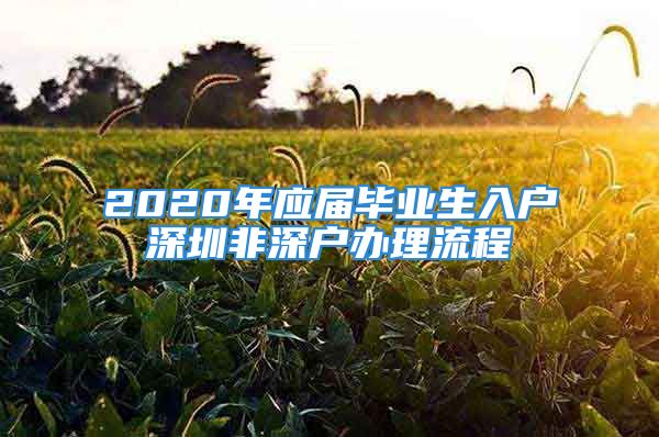 2020年應(yīng)屆畢業(yè)生入戶深圳非深戶辦理流程