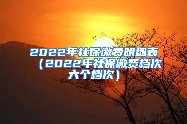 2022年社保繳費明細表（2022年社保繳費檔次六個檔次）