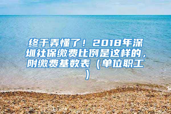 終于弄懂了！2018年深圳社保繳費比例是這樣的，附繳費基數(shù)表（單位職工）