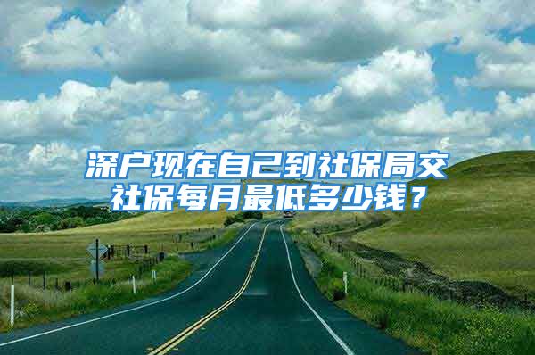 深戶現(xiàn)在自己到社保局交社保每月最低多少錢？