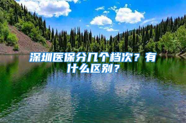 深圳醫(yī)保分幾個檔次？有什么區(qū)別？