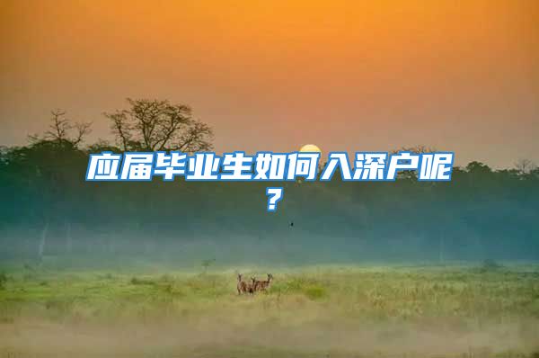 應(yīng)屆畢業(yè)生如何入深戶呢？