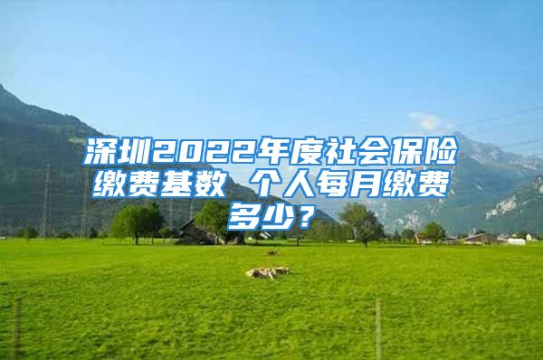 深圳2022年度社會保險繳費(fèi)基數(shù) 個人每月繳費(fèi)多少？