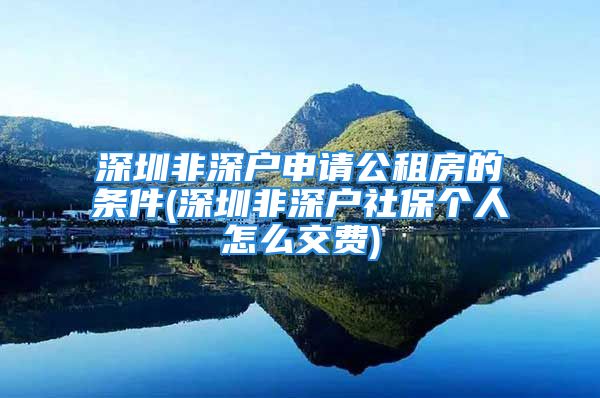 深圳非深戶申請(qǐng)公租房的條件(深圳非深戶社保個(gè)人怎么交費(fèi))