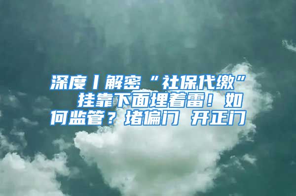 深度丨解密“社保代繳”  掛靠下面埋著雷！如何監(jiān)管？堵偏門 開正門