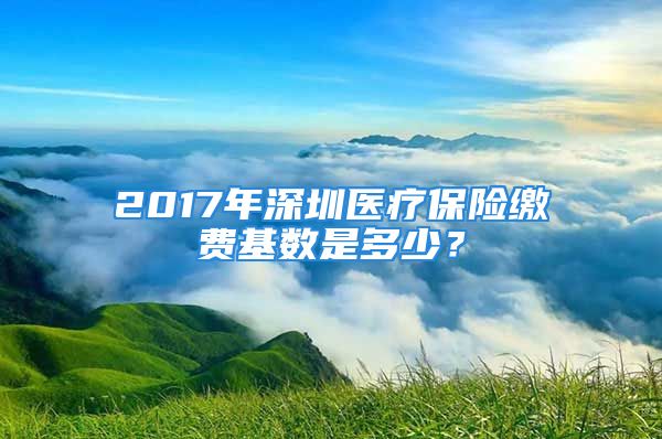 2017年深圳醫(yī)療保險繳費基數(shù)是多少？