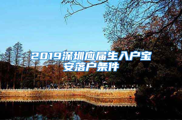 2019深圳應(yīng)屆生入戶寶安落戶條件