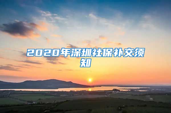 2020年深圳社保補(bǔ)交須知