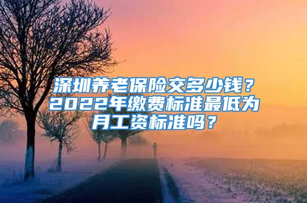 深圳養(yǎng)老保險交多少錢？2022年繳費標(biāo)準(zhǔn)最低為月工資標(biāo)準(zhǔn)嗎？