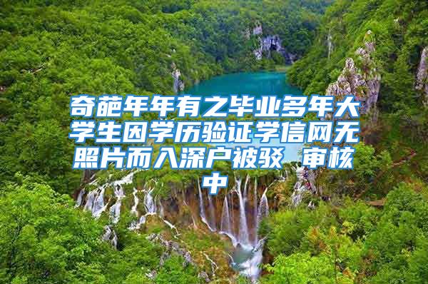 奇葩年年有之畢業(yè)多年大學生因學歷驗證學信網無照片而入深戶被駁 審核中