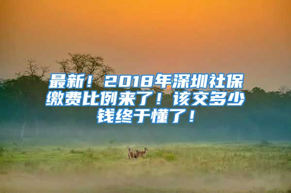 最新！2018年深圳社保繳費比例來了！該交多少錢終于懂了！