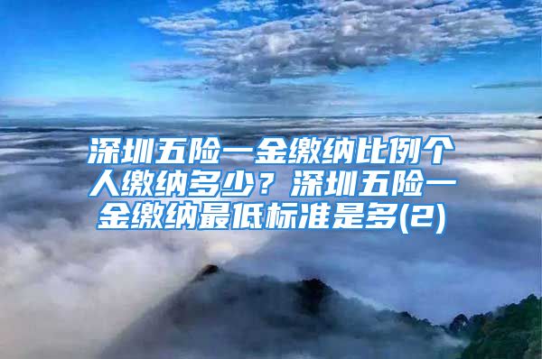 深圳五險一金繳納比例個人繳納多少？深圳五險一金繳納最低標(biāo)準(zhǔn)是多(2)