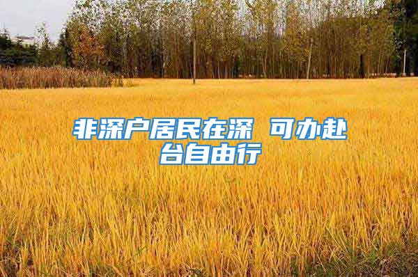 非深戶居民在深 可辦赴臺(tái)自由行