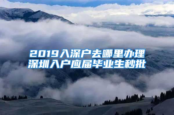 2019入深戶去哪里辦理深圳入戶應(yīng)屆畢業(yè)生秒批