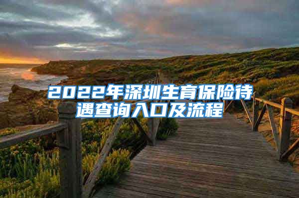 2022年深圳生育保險(xiǎn)待遇查詢?nèi)肟诩傲鞒?/></p>
									<p>　　<strong>生育的醫(yī)療費(fèi)用</strong></p>
<p>　　1.產(chǎn)前檢查:提供嬰兒出生證明的一次性支付2000元,其余情況按本市規(guī)定的產(chǎn)前檢查項(xiàng)目及費(fèi)用標(biāo)準(zhǔn)進(jìn)行審核報(bào)銷,超過2000元部分不予支付;</p>
<p>　　2.單胎順產(chǎn):2700元;</p>
<p>　　3.單胎難產(chǎn)(含剖宮產(chǎn)):5200元;</p>
<p>　　4.多胎分娩:在相應(yīng)分娩標(biāo)準(zhǔn)的基礎(chǔ)上,每增加一胎增加1000元。終止妊娠的費(fèi)用參照計(jì)劃生育相應(yīng)項(xiàng)目標(biāo)準(zhǔn)。</p>									<div   id=