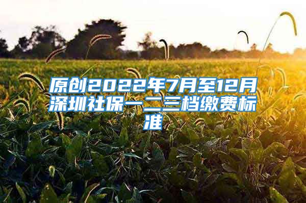 原創(chuàng)2022年7月至12月深圳社保一二三檔繳費標準